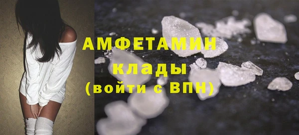 прущие грибы Бронницы