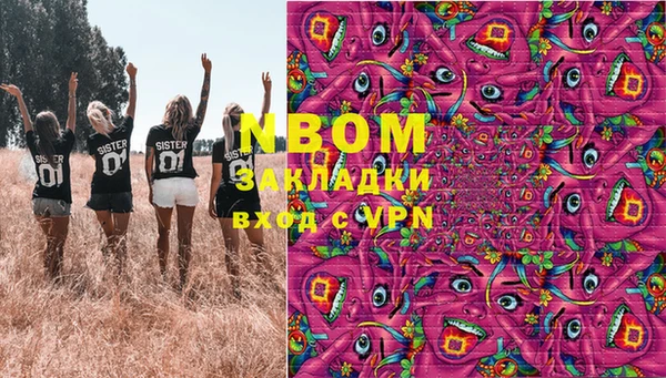 прущие грибы Бронницы
