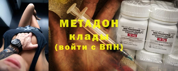 прущие грибы Бронницы